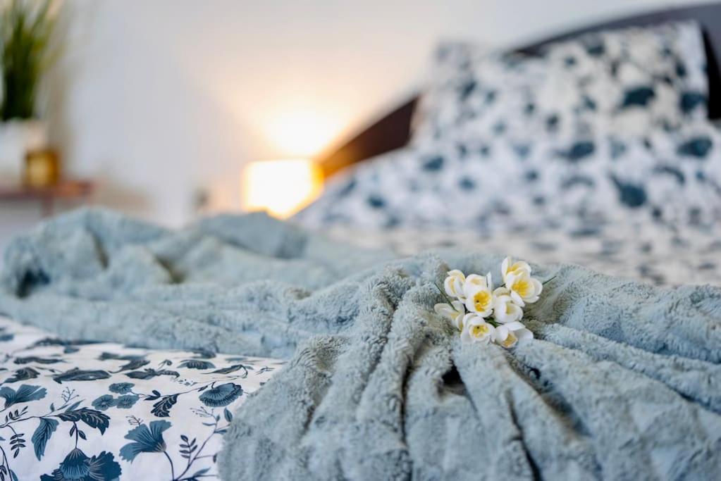 Cozy 1-Bedroom Flat In The Very Center Of صوفيا المظهر الخارجي الصورة